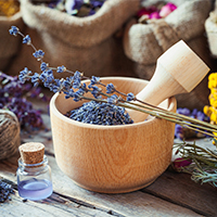 Magíster en Ciencias Naturopáticas